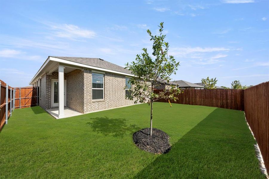 27. 115 Van Horn - Back (2) 27. 115 Van Horn - Back (2)