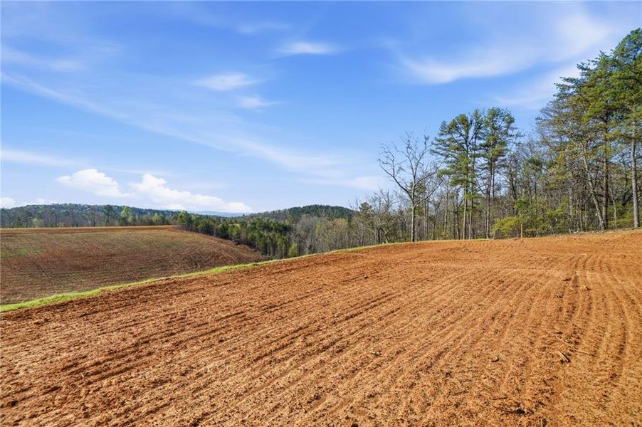 Site preparation for new homesites in , Ellijay (Image 8).