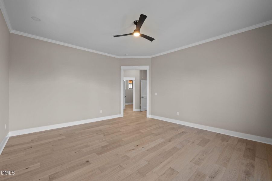 51-web-or-mls-P1095750