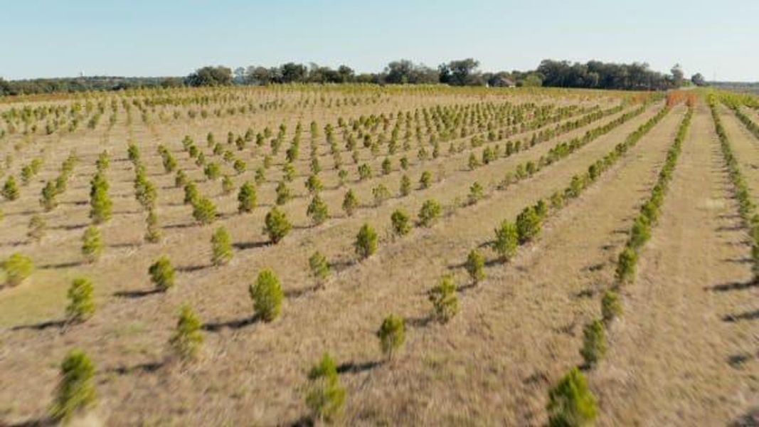 Natural landscape and outdoor views near Mantua in Van Alstyne (Image 12).