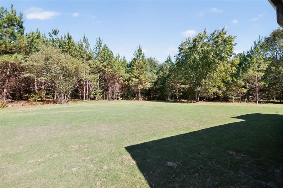 Natural landscape and outdoor views near White Oaks in The Rock (Image 41).