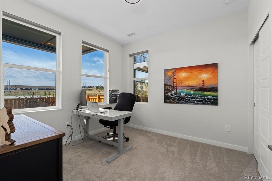 Lower level bedroom/office/flex space