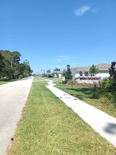 Natural landscape and outdoor views near  in Edgewater (Image 30).