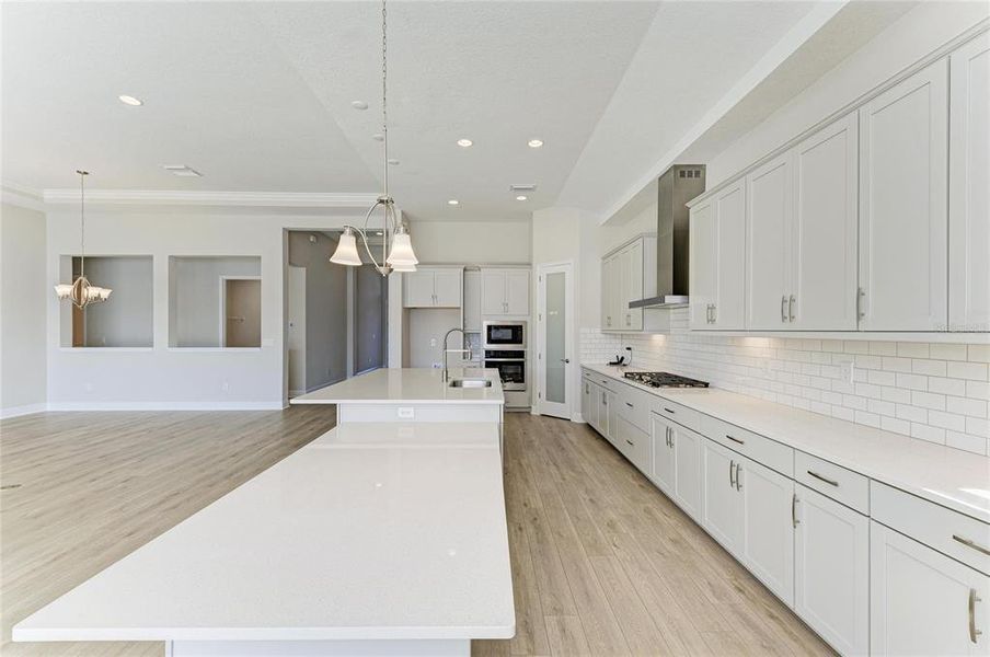 Furnished interior view inside a new home in Hawkstone, Lithia (Image 9).