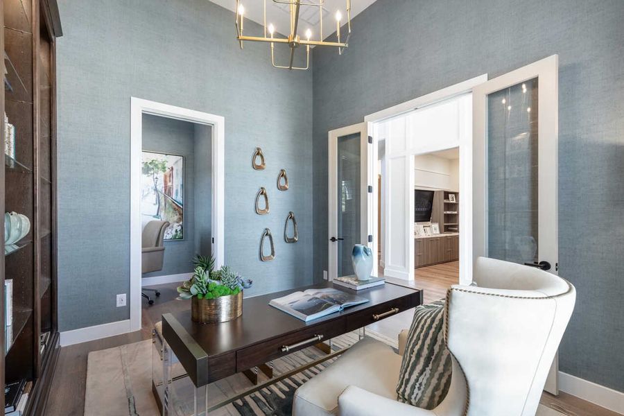 Representative Study - some options shown