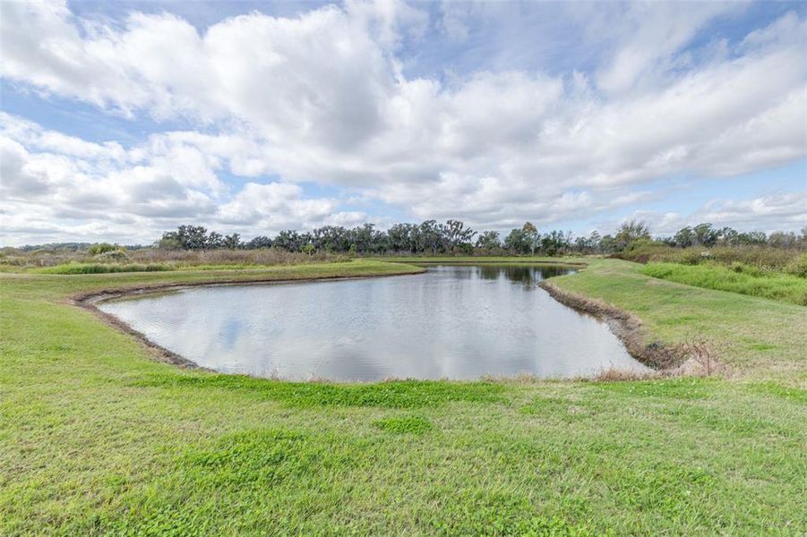 Natural landscape and outdoor views near Farm at Varrea in Plant City (Image 63).