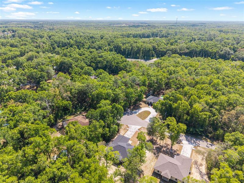 Natural landscape and outdoor views near  in Fort White (Image 50).