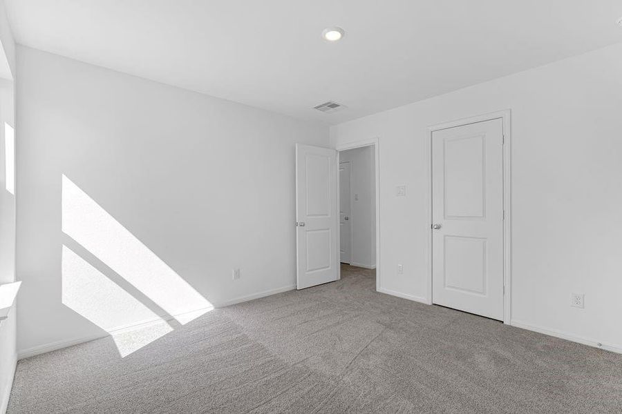 615 Yaupon Holly ~ Ready Now 615 Yaupon Holly ~ Ready Now