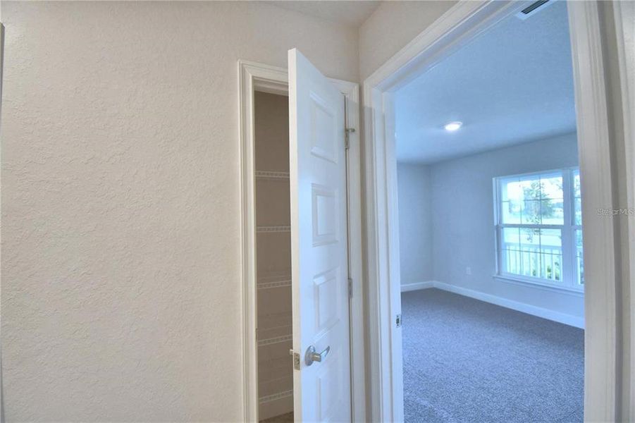 Spacious, unfurnished interior of a new home in Knights Landing, Lakeland (Image 23).