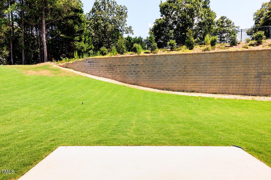 Lot 25 Backyard Lot 25 Backyard