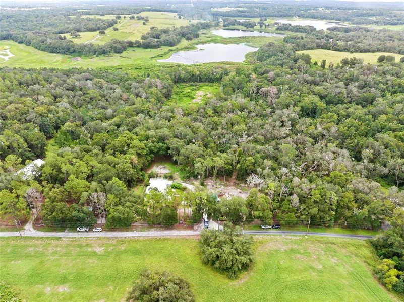 Natural landscape and outdoor views near  in Brooksville (Image 59).