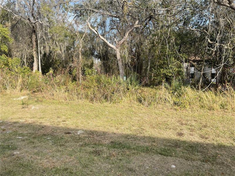 Natural landscape and outdoor views near in New Port Richey (Image 23). Natural landscape and outdoor views near in New Port Richey (Image 23).