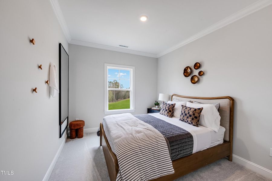 SUN_Annandale_Pic_Tyler_16