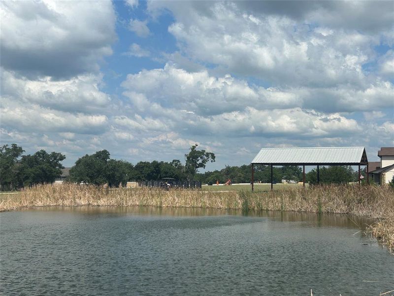 Water view of neighborhood pond Water view of neighborhood pond