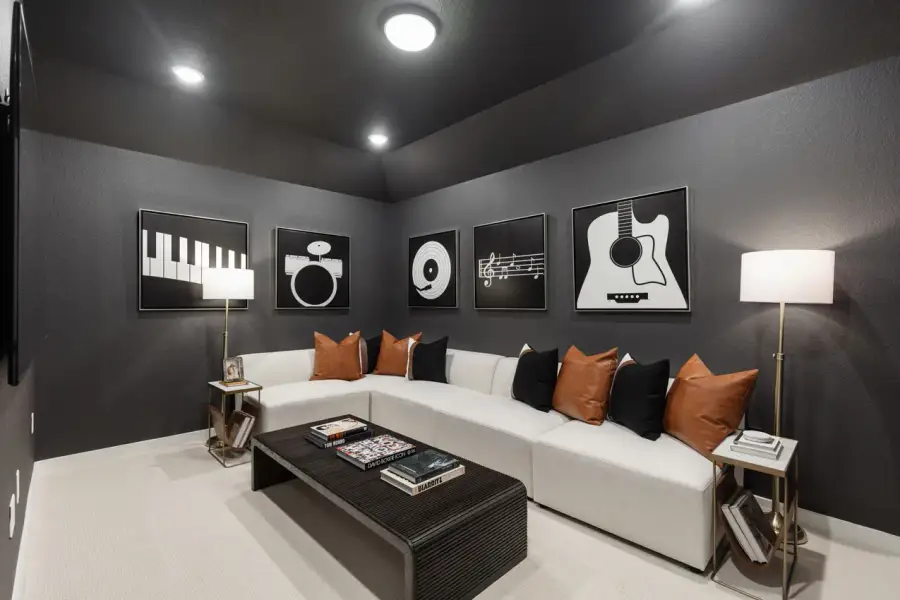 Representative Entertainment Room - some options shown Representative Entertainment Room - some options shown