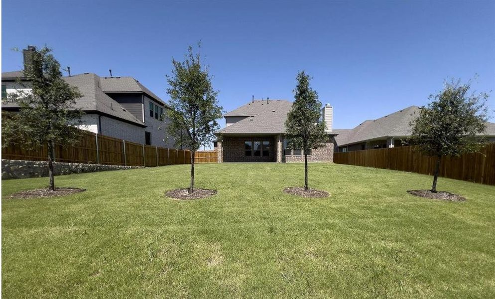 View of huge back yard with lextra trees