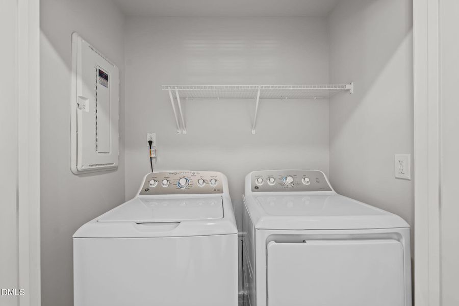 737 Painted Daisy Way