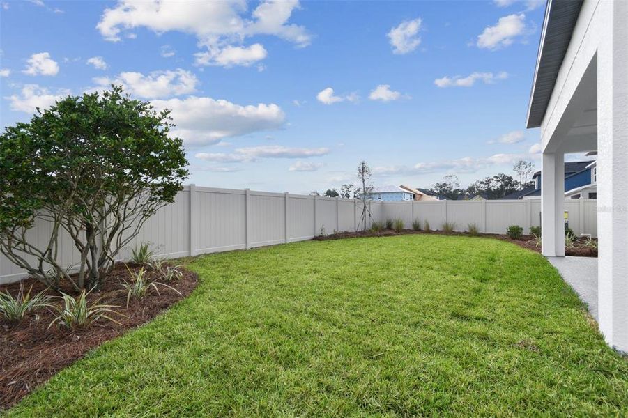 Exterior details and patio area of a home in Oakfield at Mount Dora Village Series, Mount Dora (Image 22).