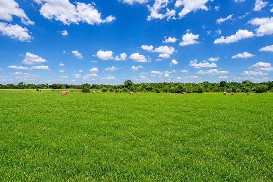 Land