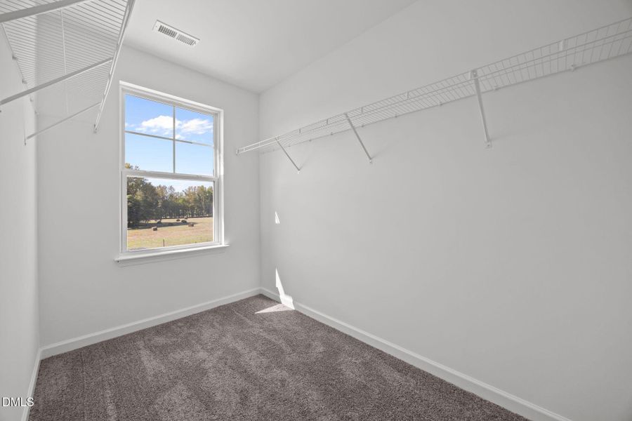 30-web-or-mls-6S8A5252