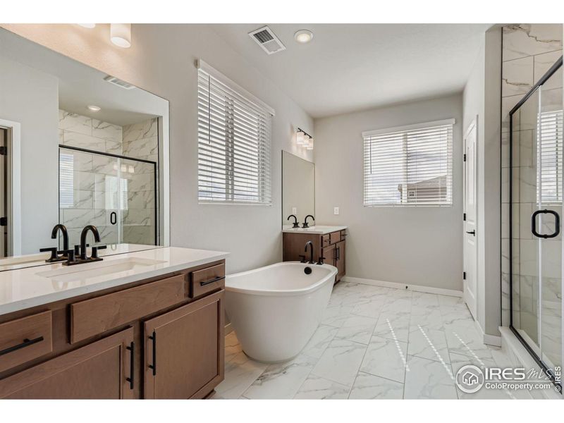 Luxury 5 piece primary bathroom