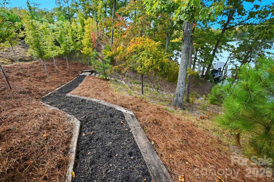 natural setting framed by mature trees and picturesque natural shorelines