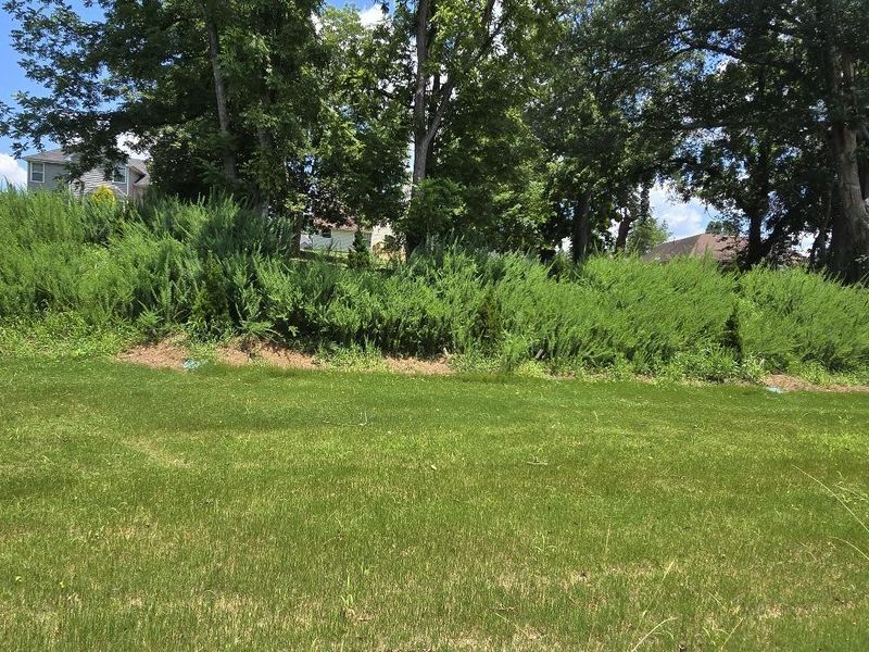 Natural landscape and outdoor views near  in South Fulton (Image 22).