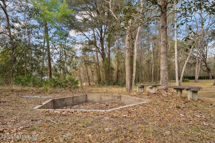 Natural landscape and outdoor views near  in Middleburg (Image 23).