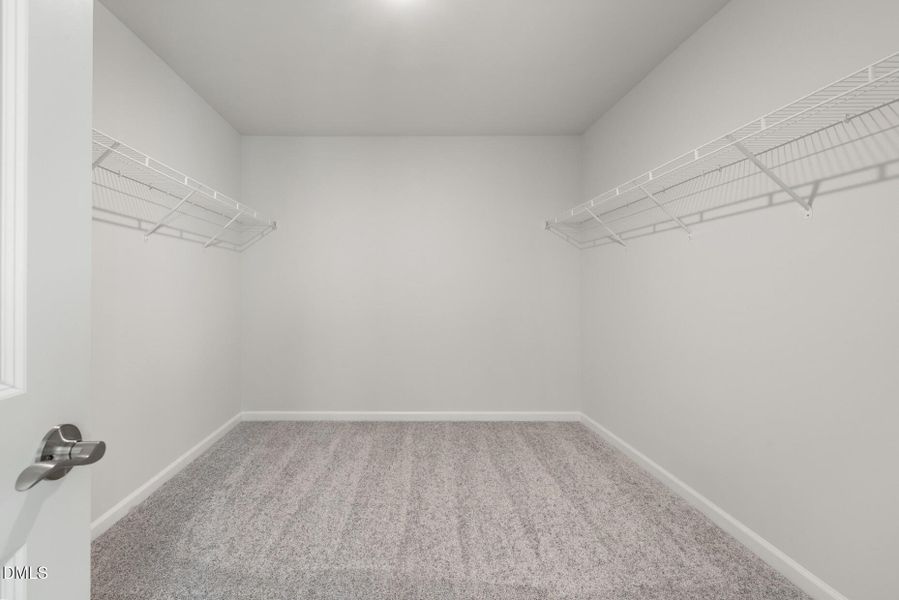 Mitchell Lot #73 (2)