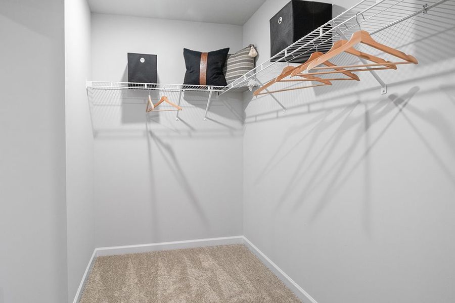 A room with a bed and a rug.