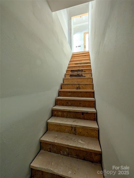 Stairs to Basement access Stairs to Basement access