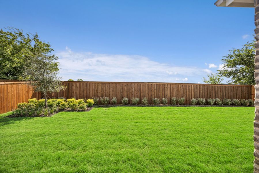 Backyard Backyard