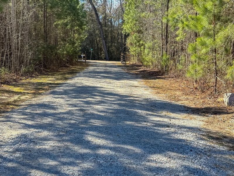 Natural landscape and outdoor views near  in Cottageville (Image 30).