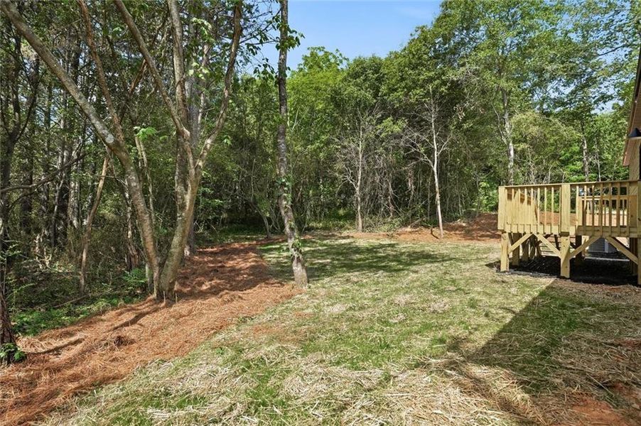 Natural landscape and outdoor views near in Gainesville (Image 21). Natural landscape and outdoor views near in Gainesville (Image 21).