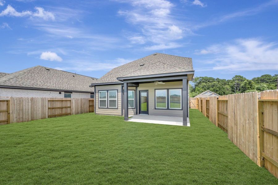 Backyard