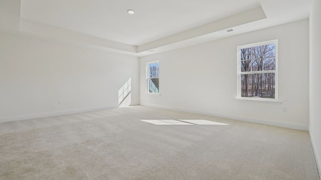 Wagener home plan spacious primary bedroom/suite with tray ceiling, natural light, walk-in closet and en suite bathroom