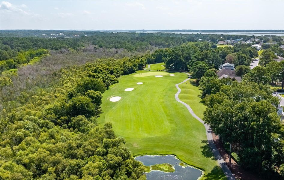 Natural landscape and outdoor views near Charleston Proper in Johns Island (Image 19).