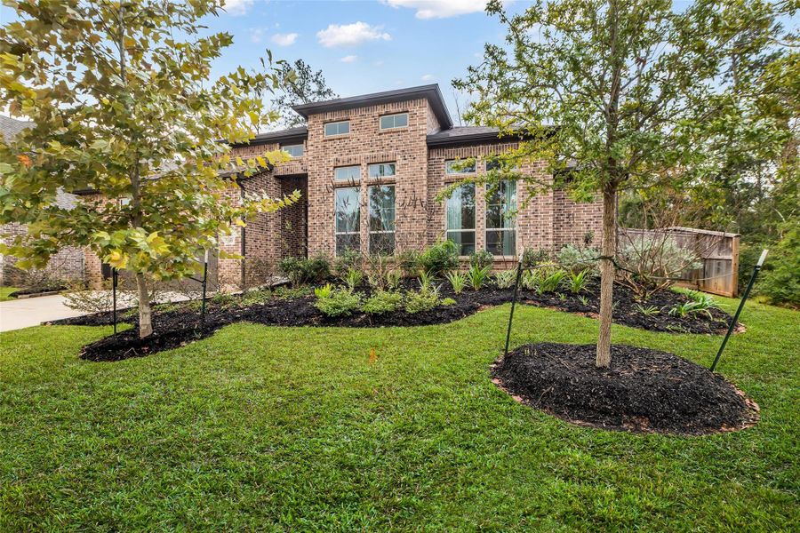 Large corner lot Large corner lot