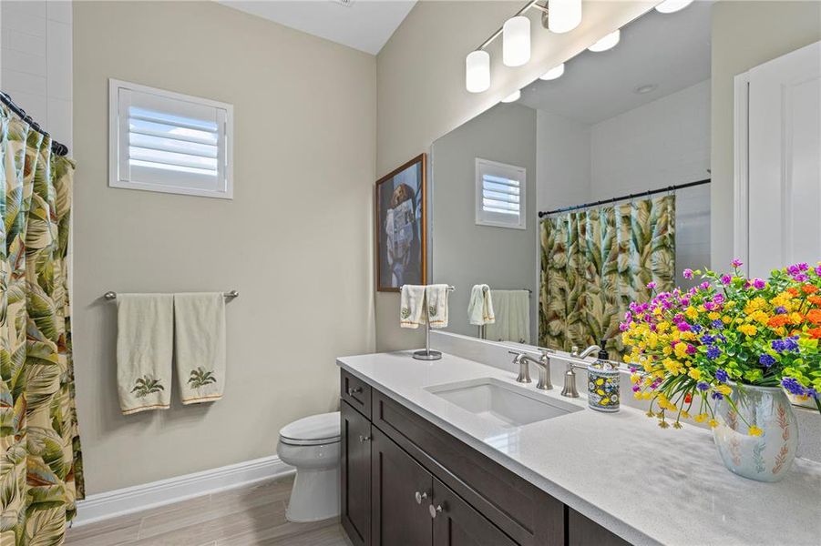 Furnished interior view inside a new home in , Venice (Image 20). Furnished interior view inside a new home in , Venice (Image 20).