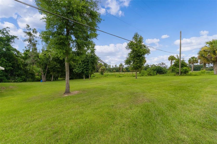 Natural landscape and outdoor views near  in Ocala (Image 36).
