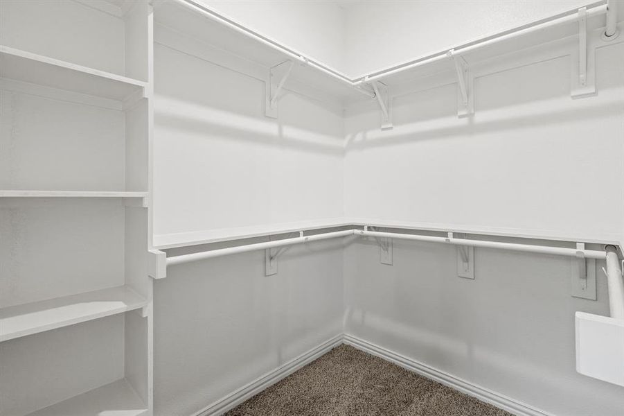 Walk in closet with dark colored carpet