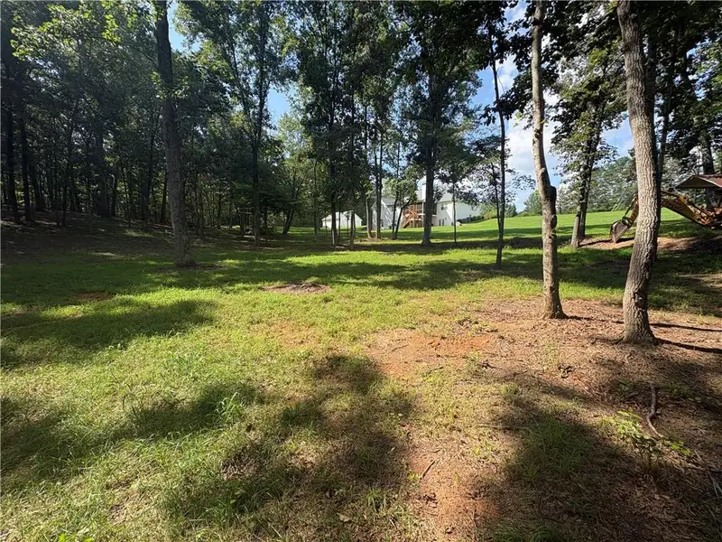 Natural landscape and outdoor views near  in Dawsonville (Image 62).
