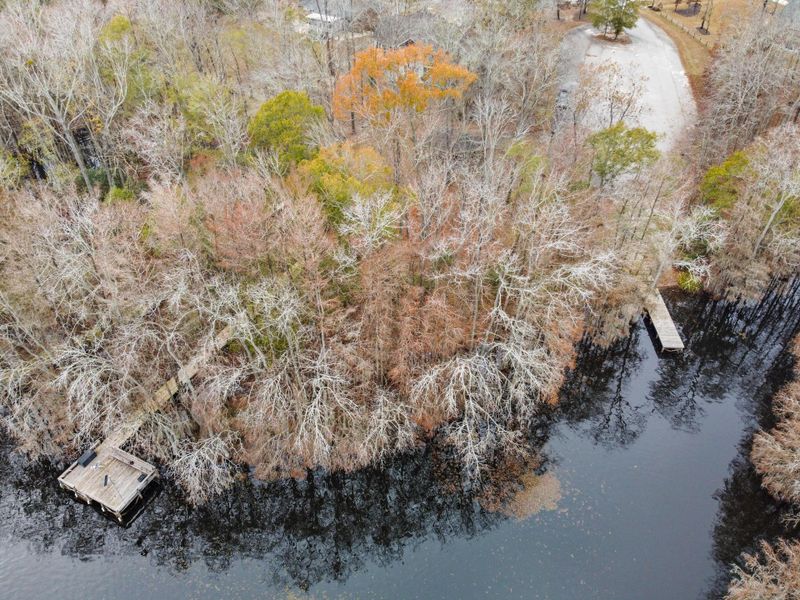 Natural landscape and outdoor views near in Elloree (Image 33). Natural landscape and outdoor views near in Elloree (Image 33).