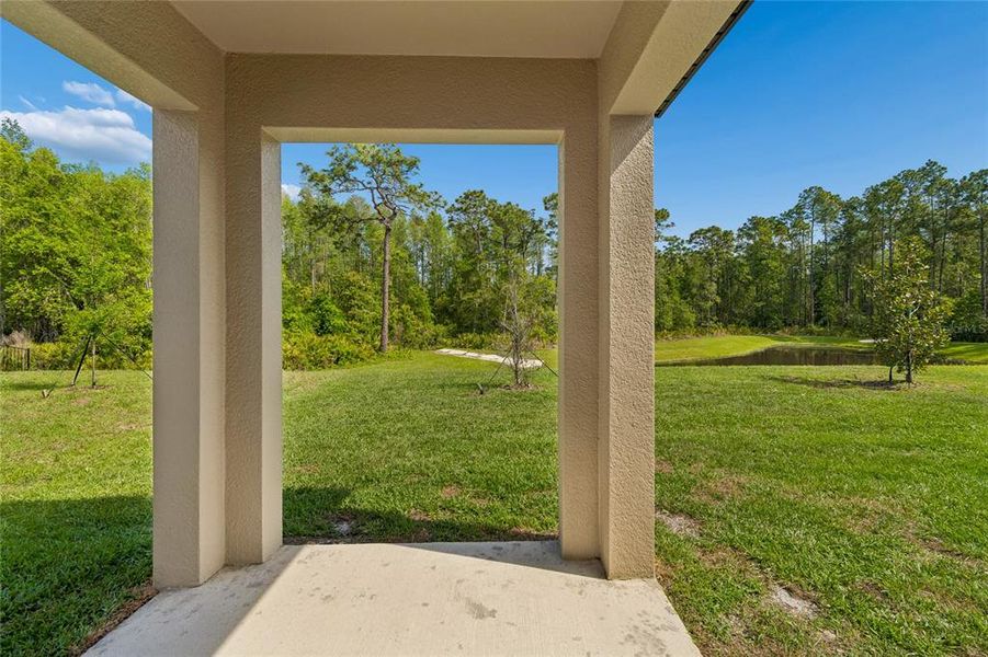 Exterior details and patio area of a home in , Land O' Lakes (Image 4).