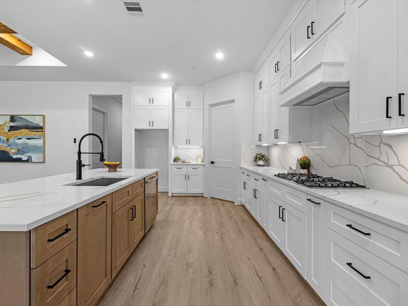 Ample working space, with custom vent-hood and trash pull-out bin