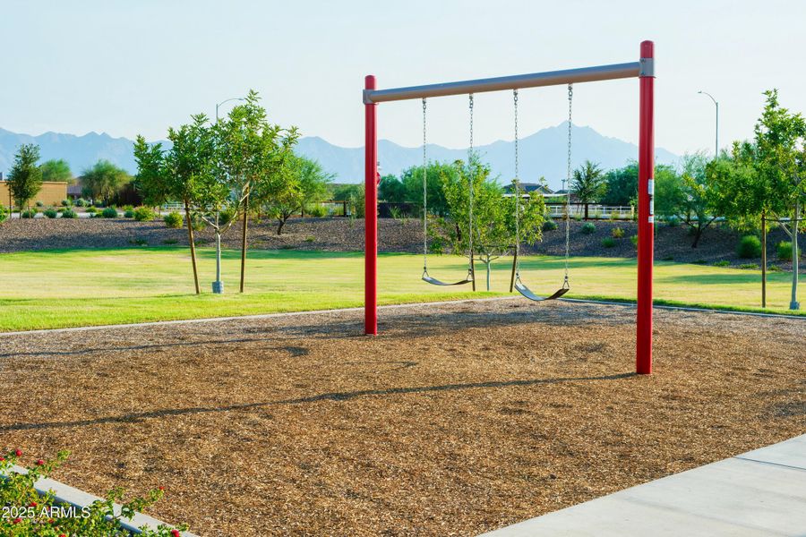 COMMUNITY PLAY PARK