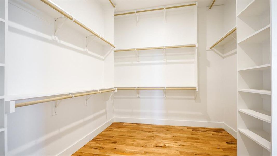 Walk in closet with wood-type flooring