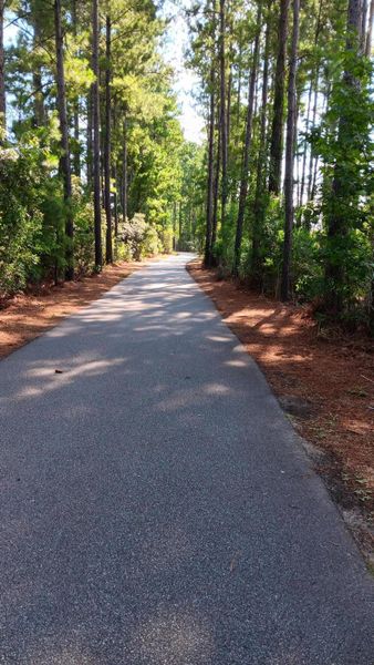 Natural landscape and outdoor views near  in Summerville (Image 17).