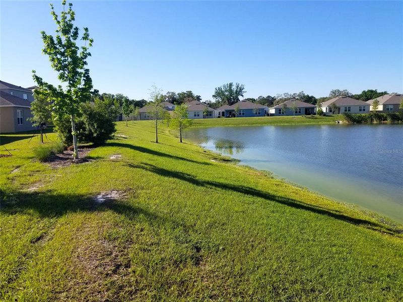 Natural landscape and outdoor views near Charles Cove Express in Davenport (Image 30).