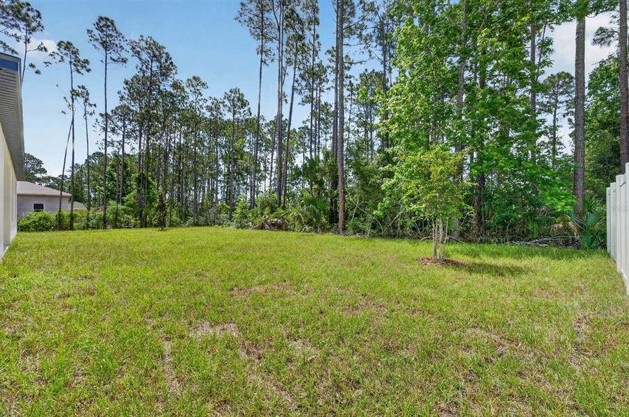 Natural landscape and outdoor views near in Palm Coast (Image 35). Natural landscape and outdoor views near in Palm Coast (Image 35).